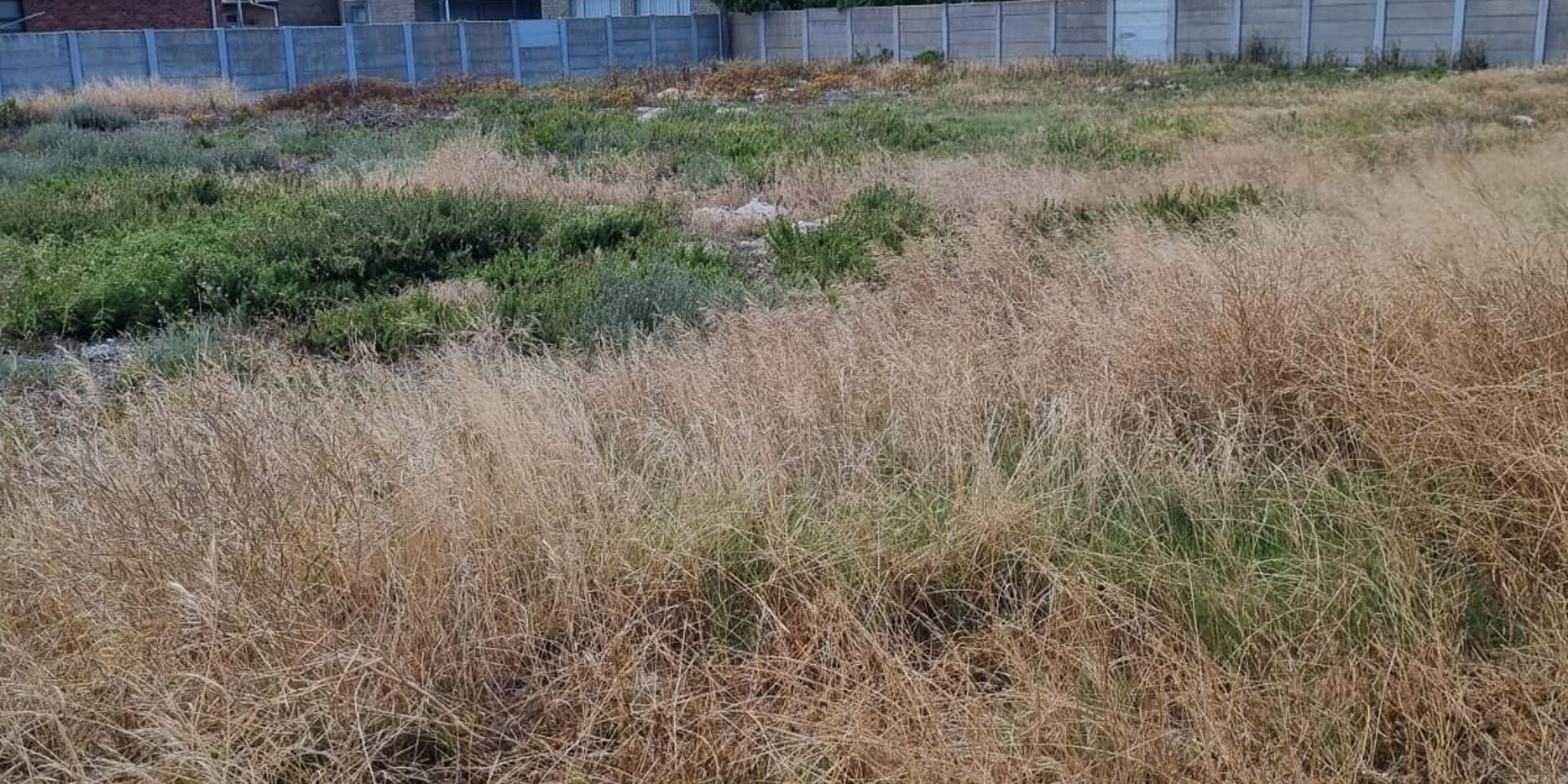 Image 5 of 6