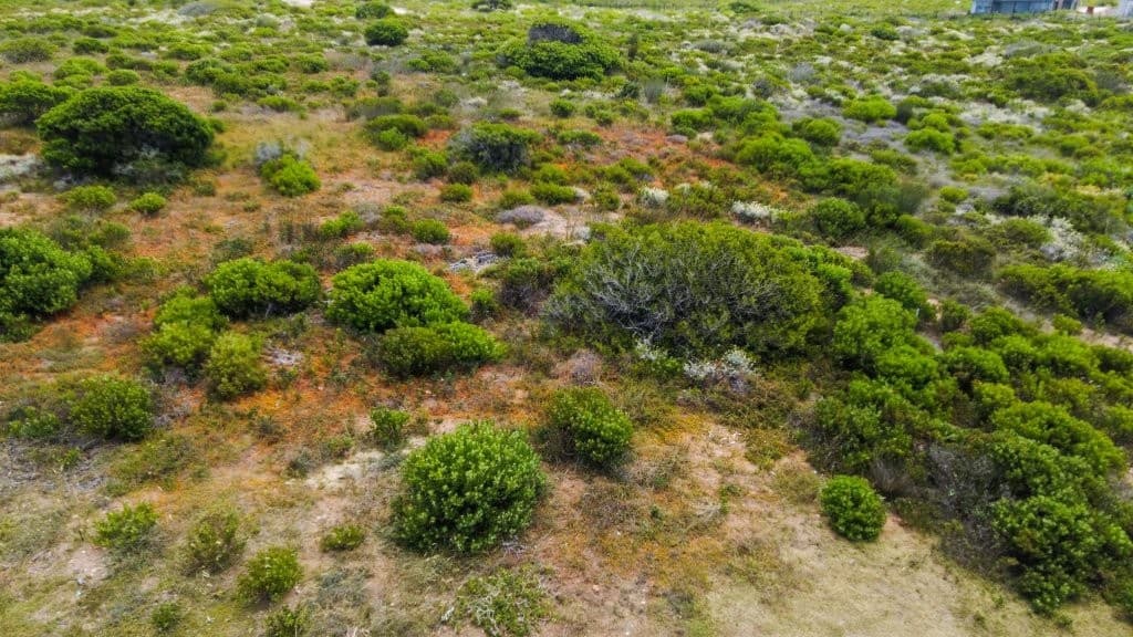 Image 3 of 6