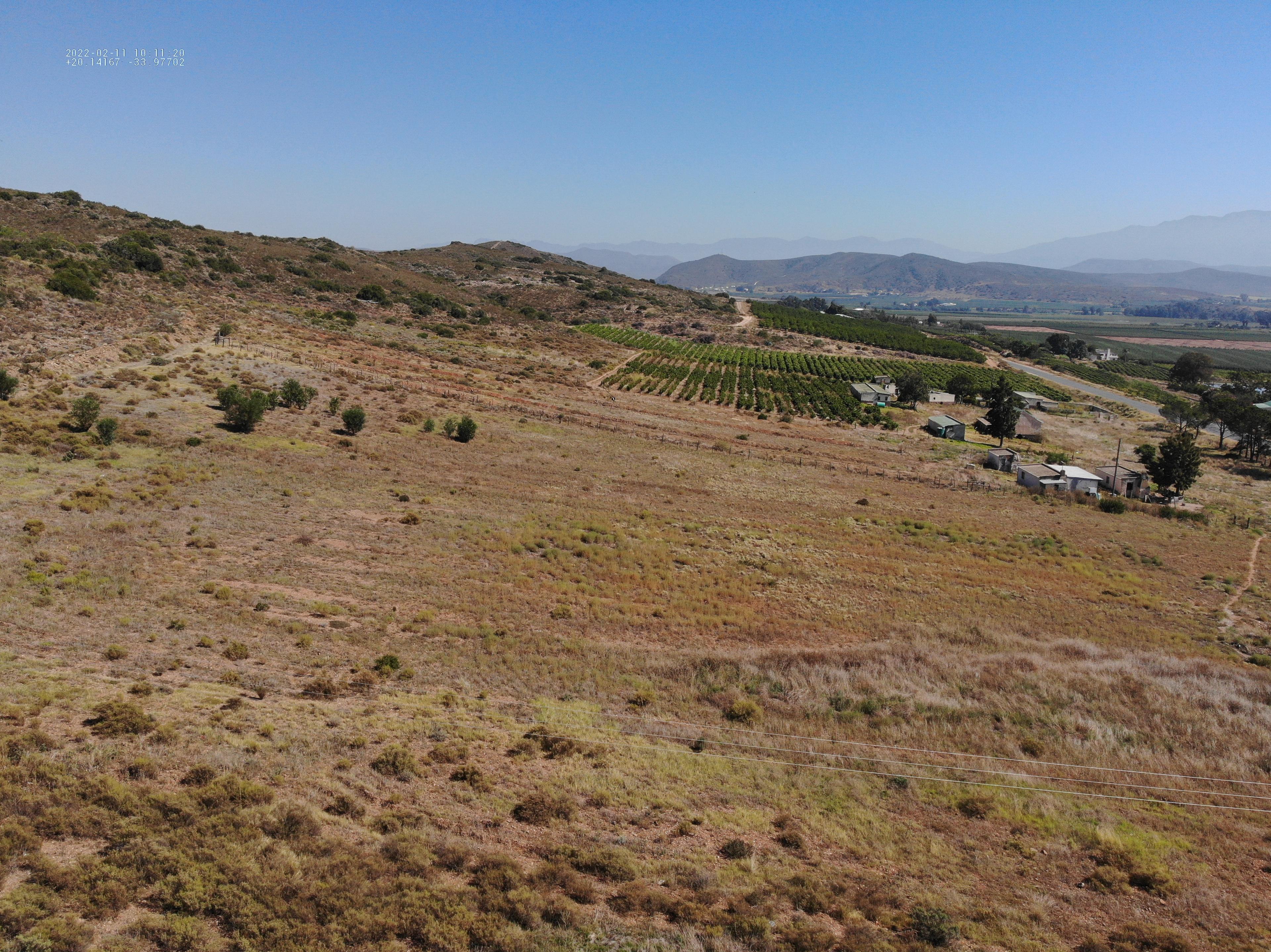 Image 36