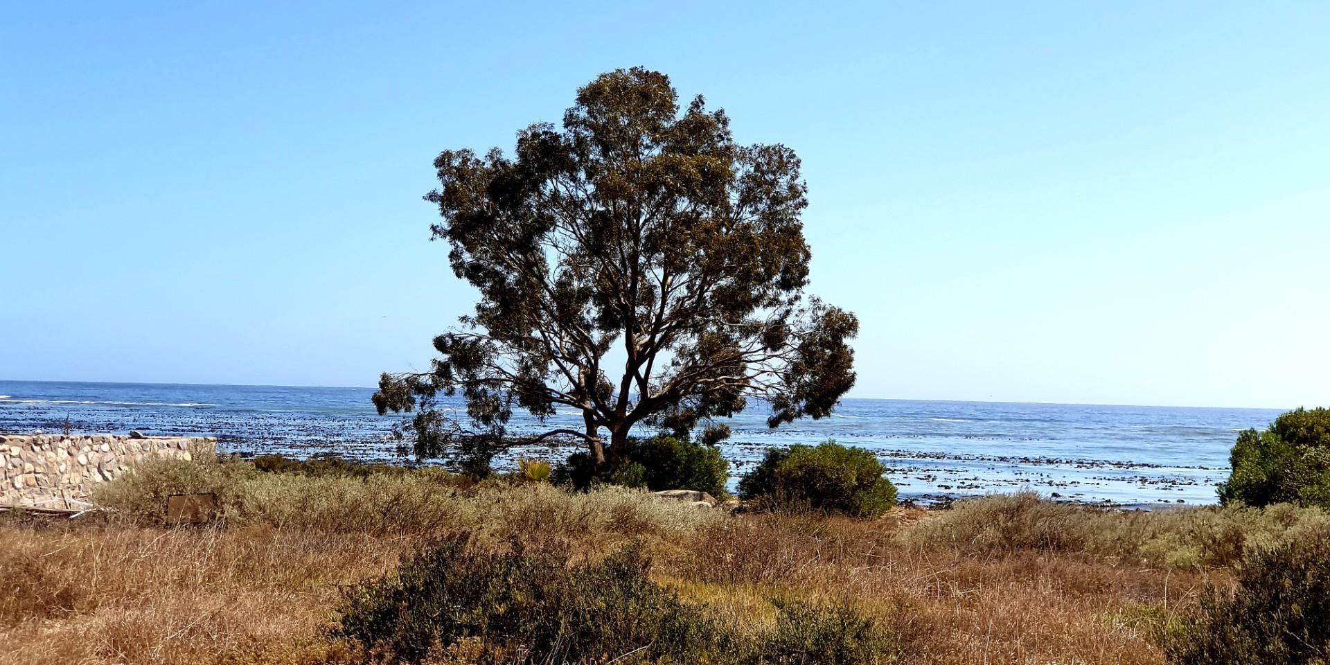 Image 2 of 6