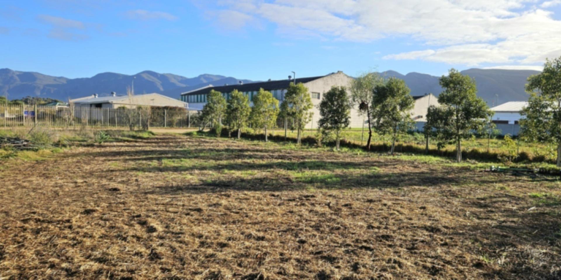 Image 2 of 6