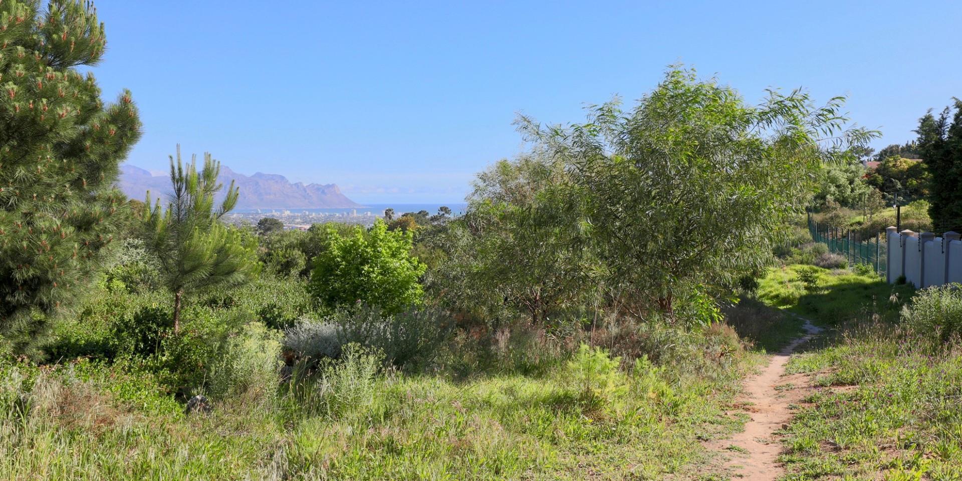 Image 4 of 6