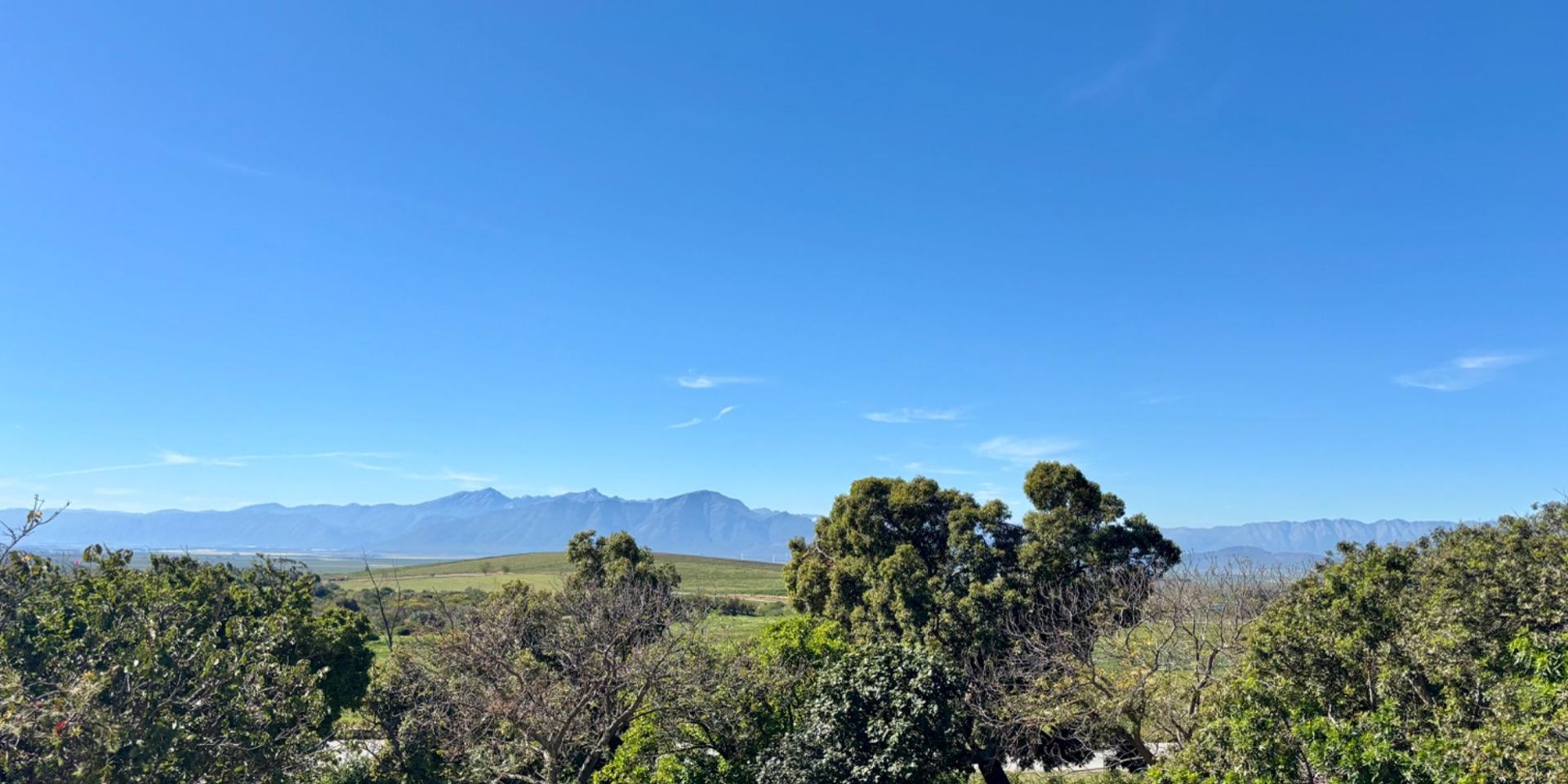 Image 4 of 6