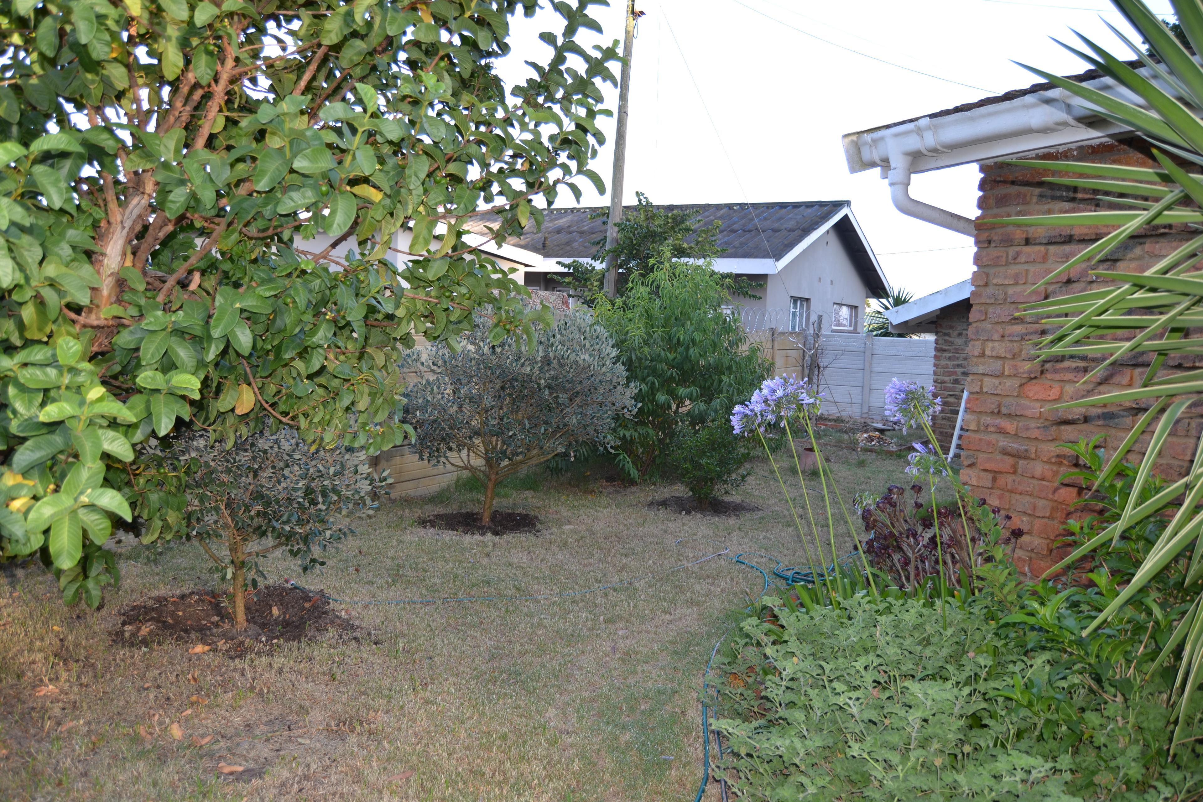 Image 65