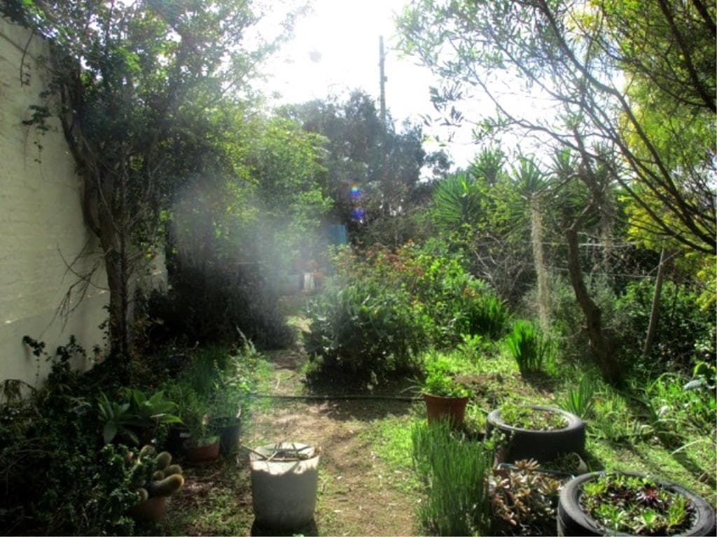 Image 20
