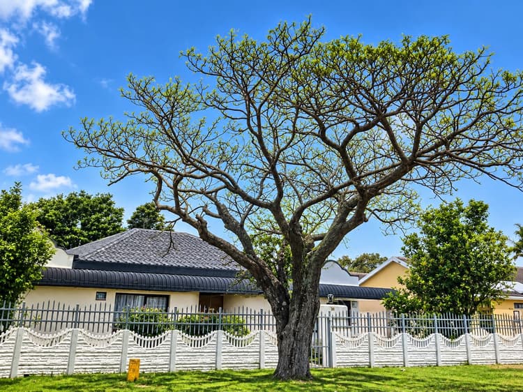 Main property image