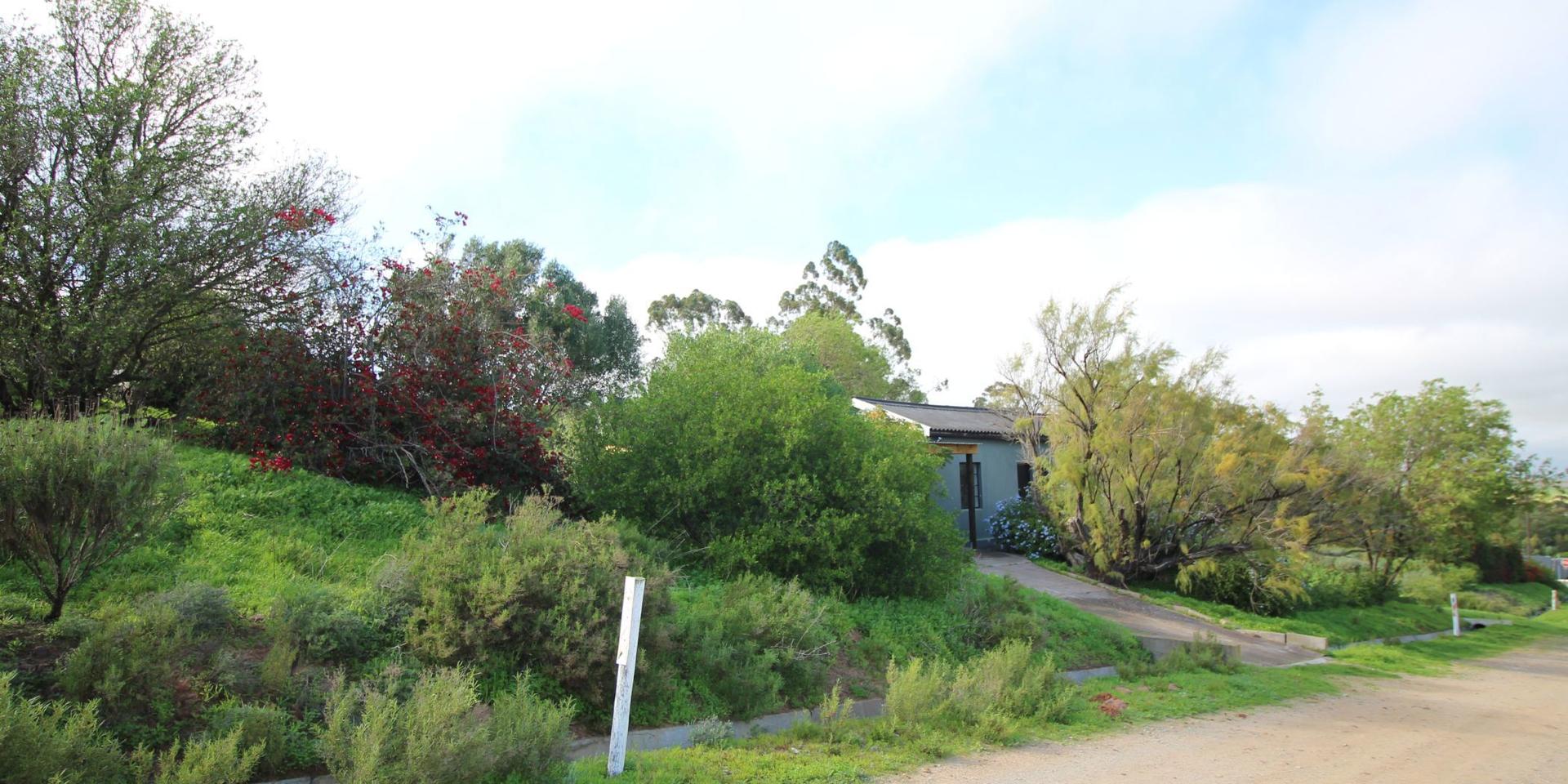 Image 4 of 6