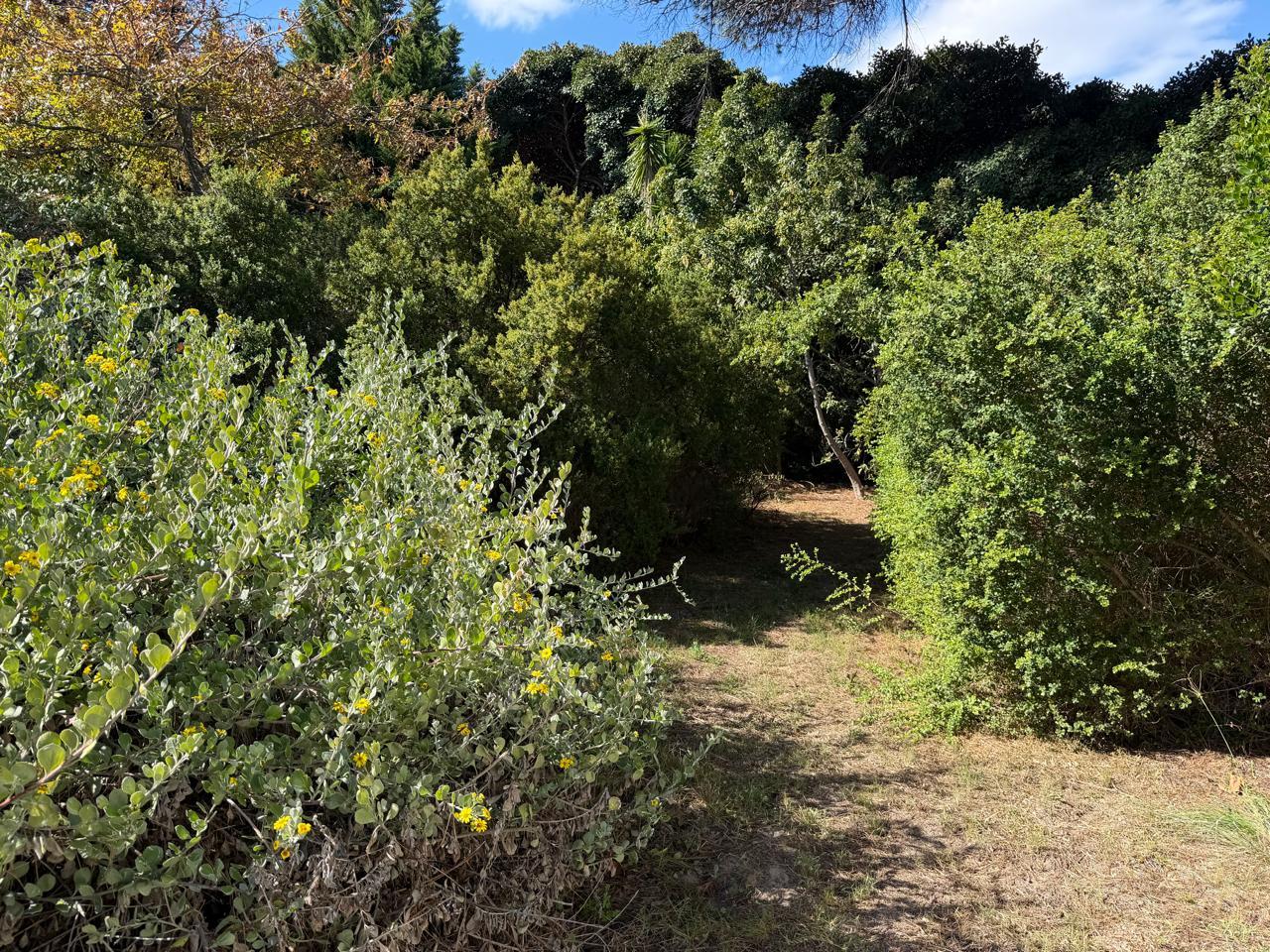Image 3 of 6