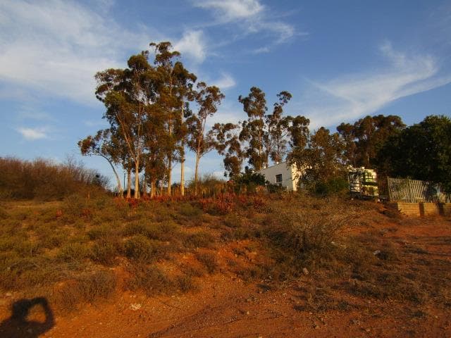 Image 5 of 6