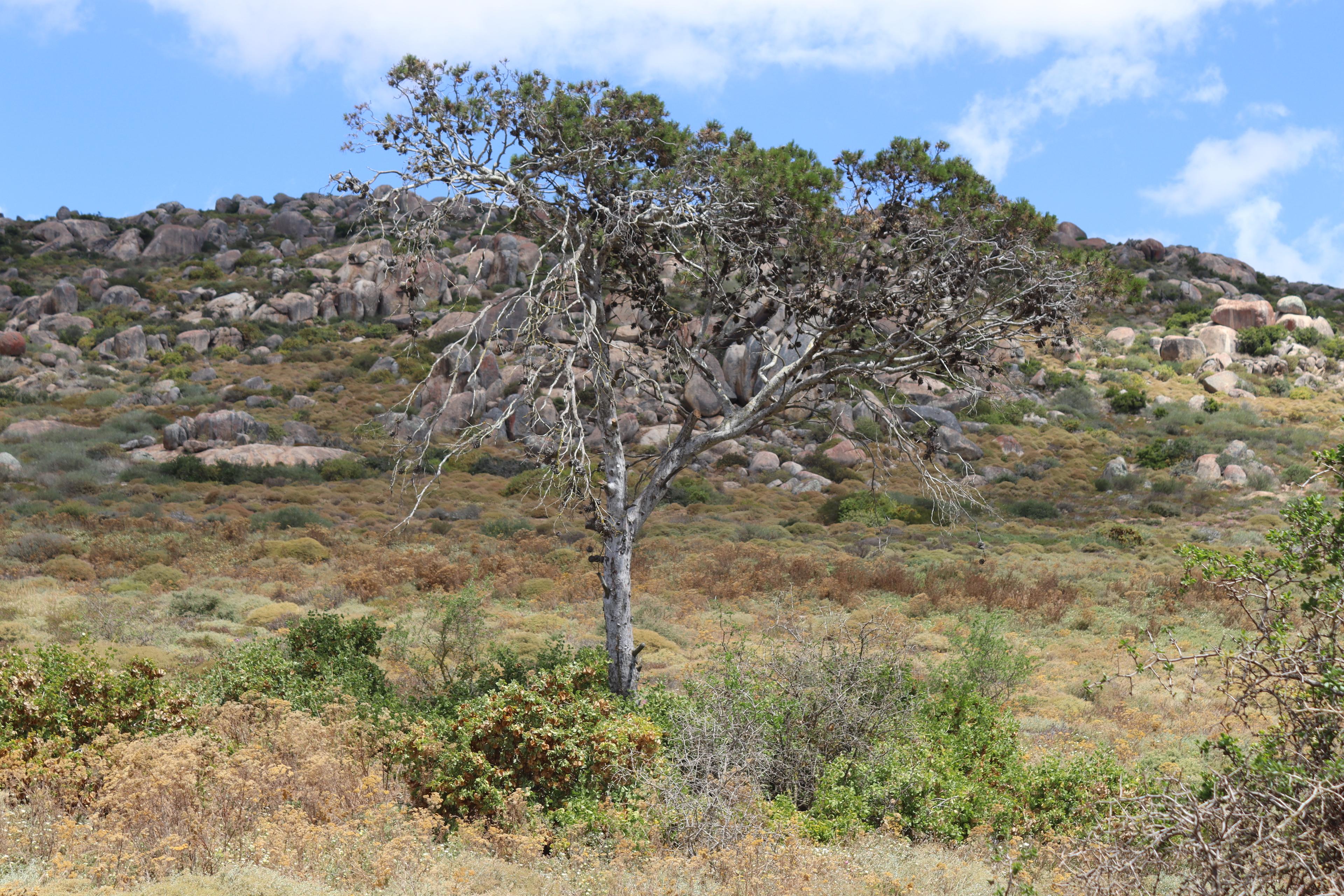 Image 5 of 6
