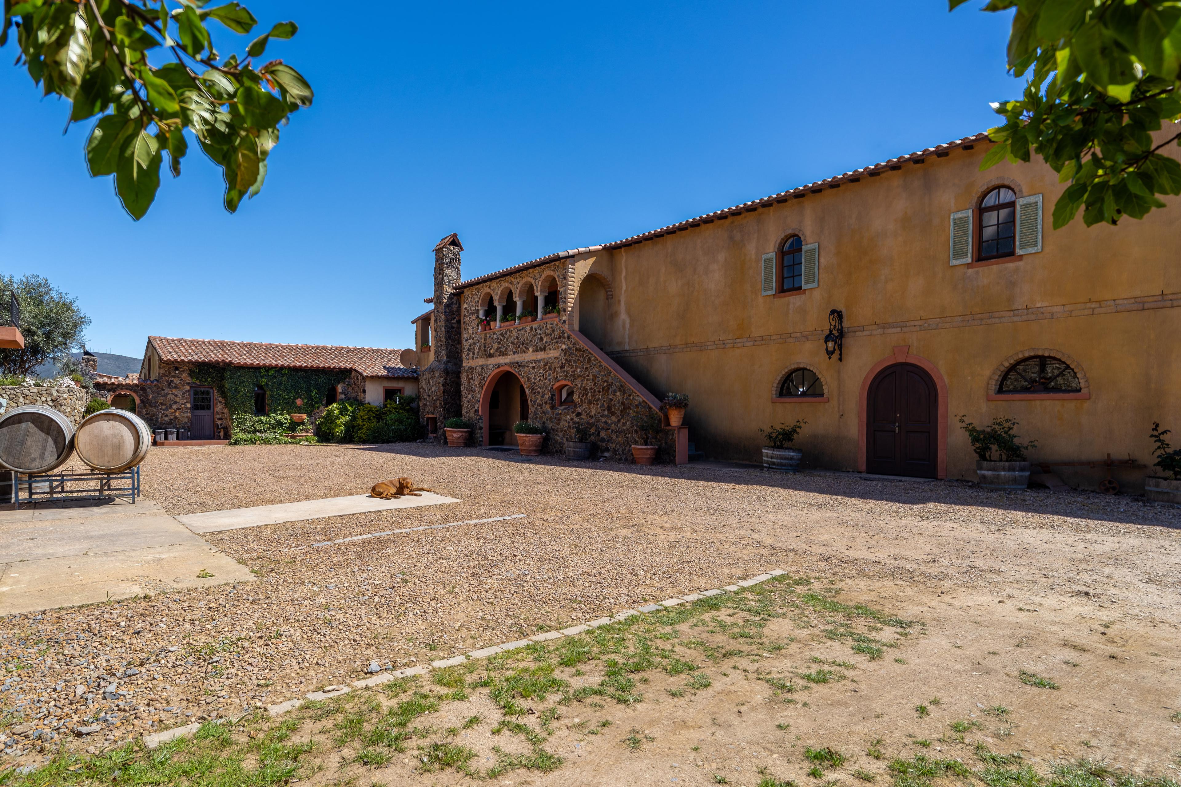 Image 15