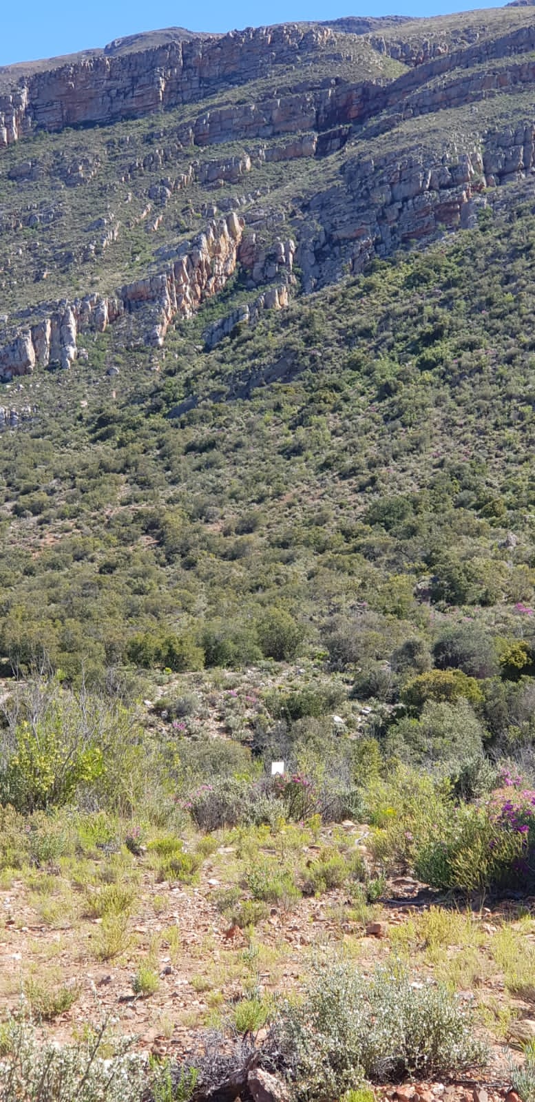 Image 2 of 6