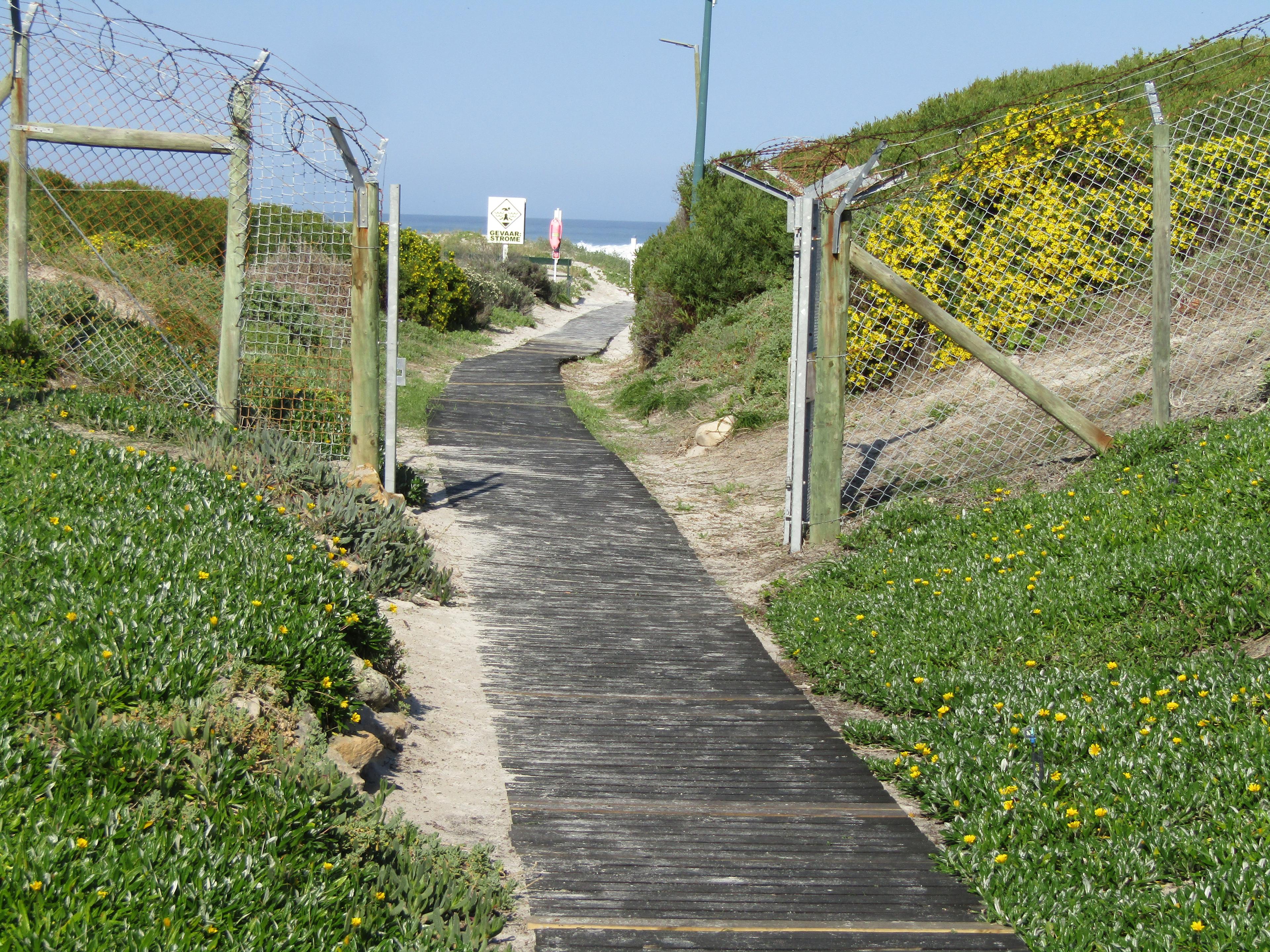 Image 16