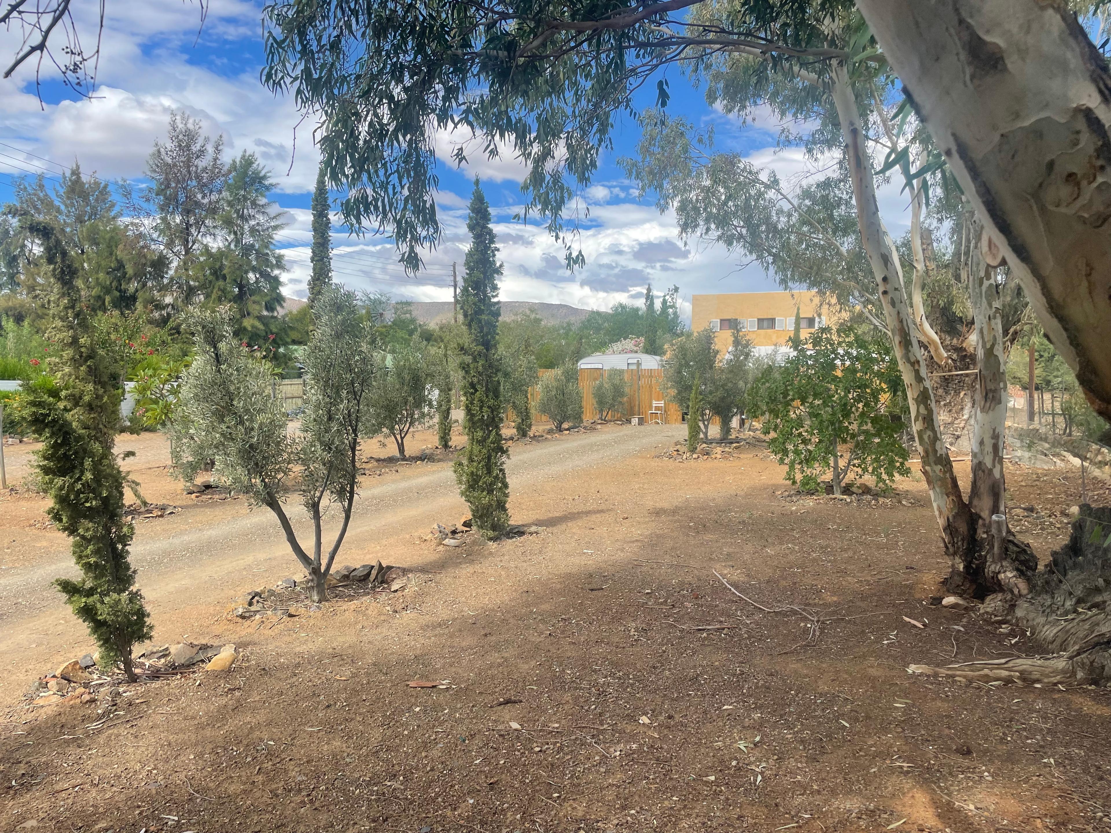 Image 4 of 6