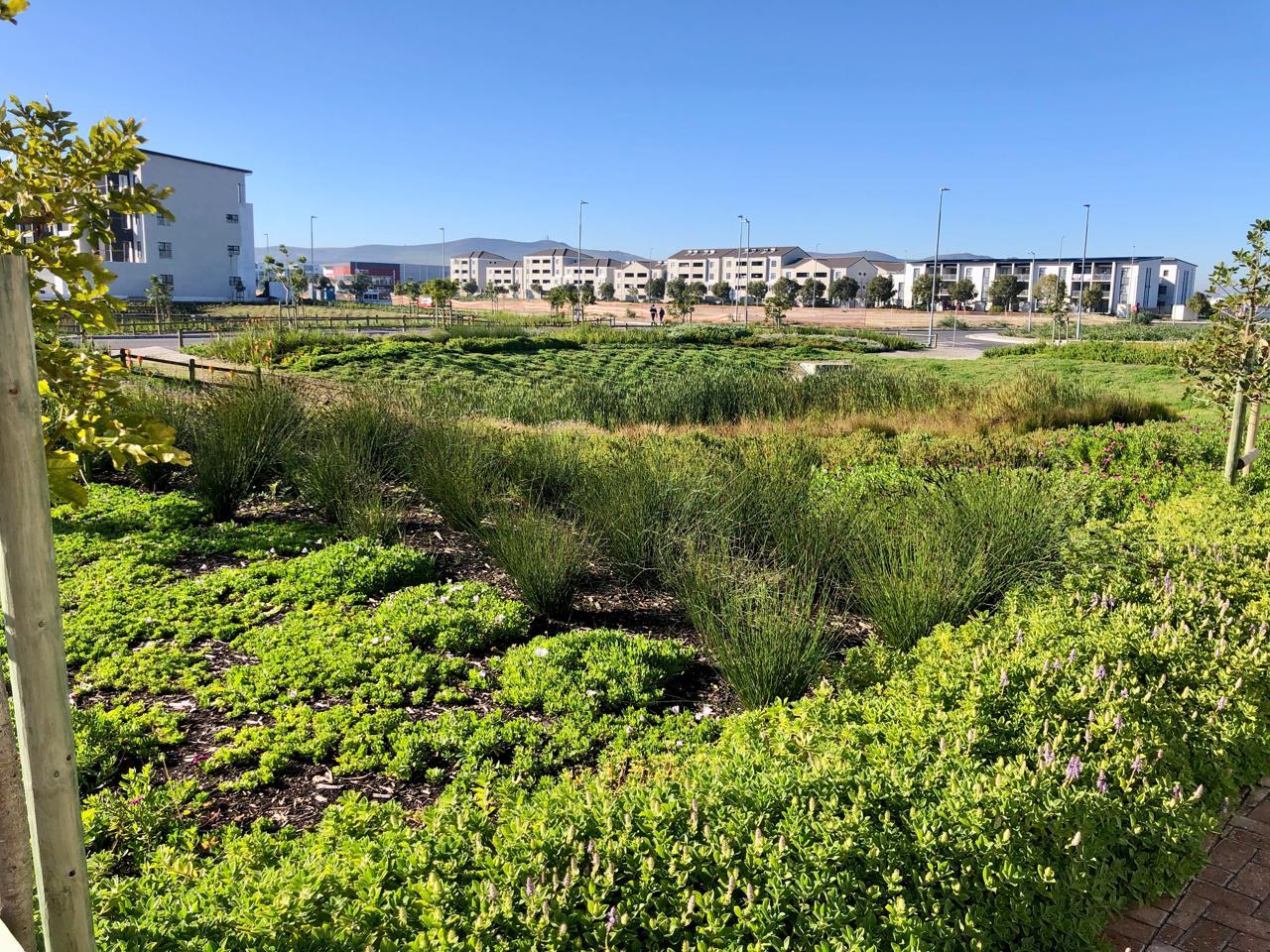Image 4 of 6