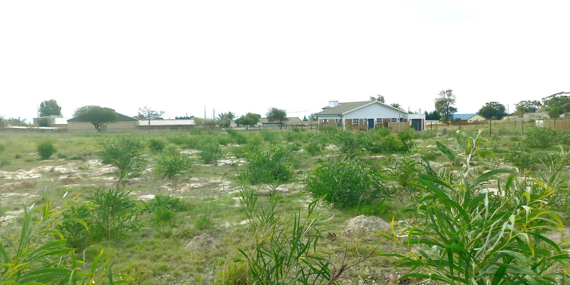 Image 5 of 6