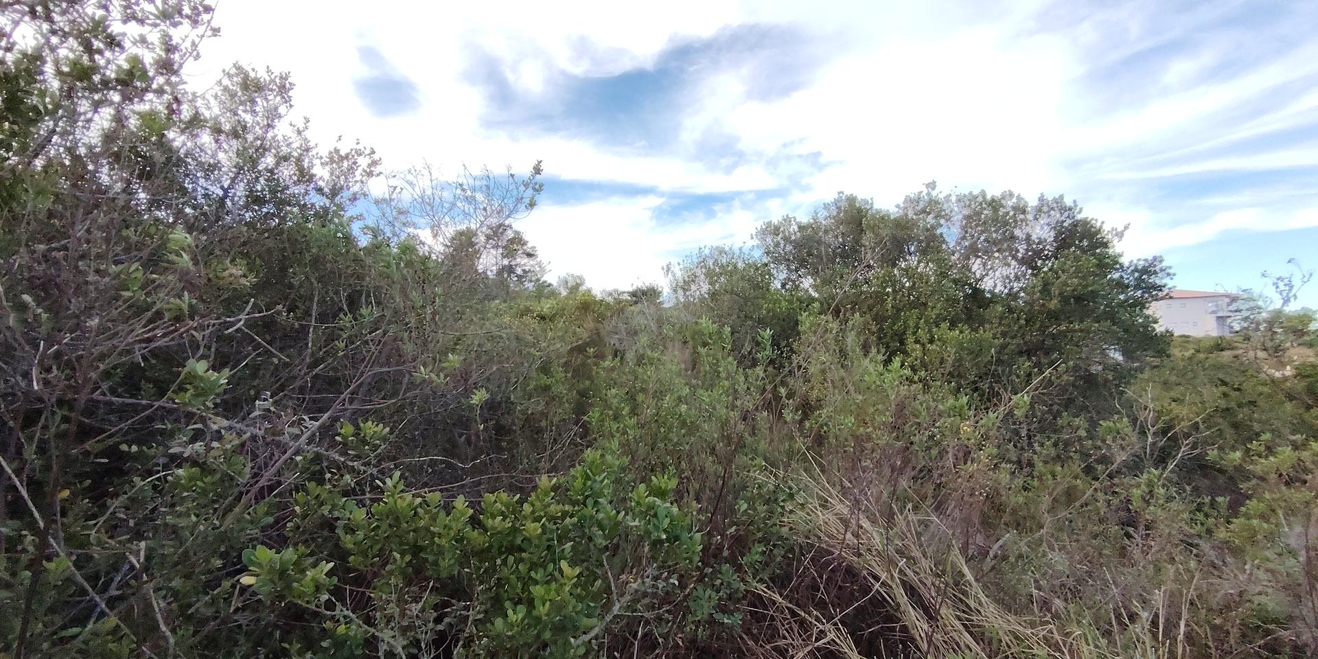 Image 5 of 6