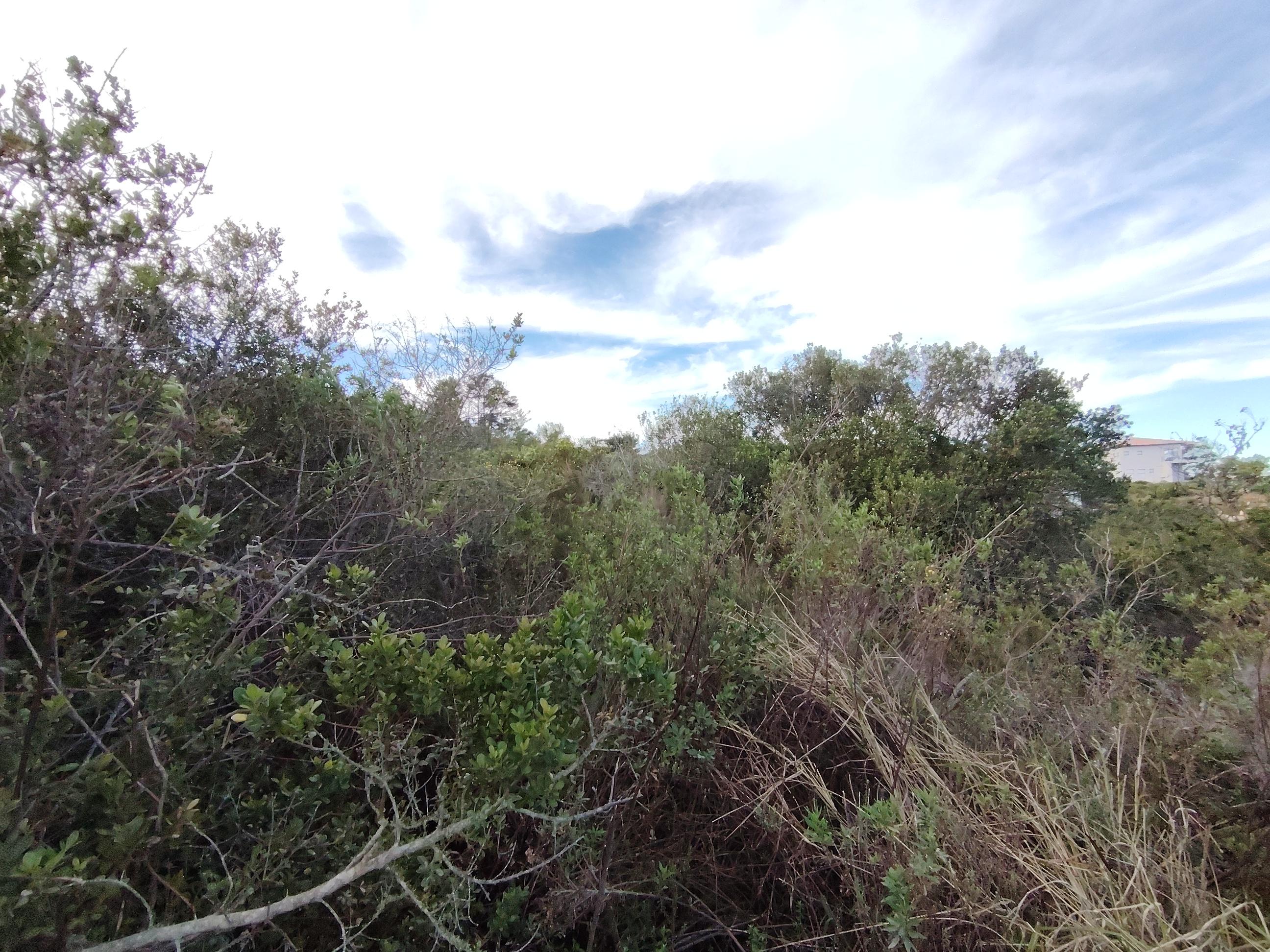 Image 5 of 6