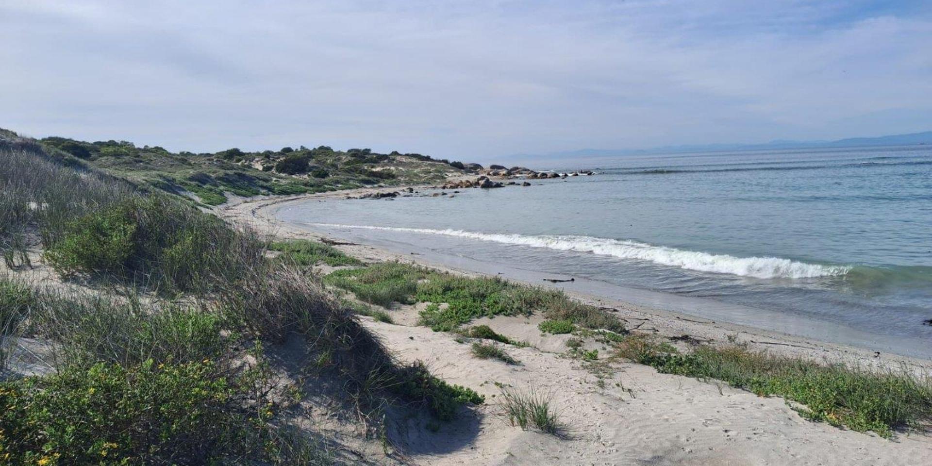 Image 2 of 6