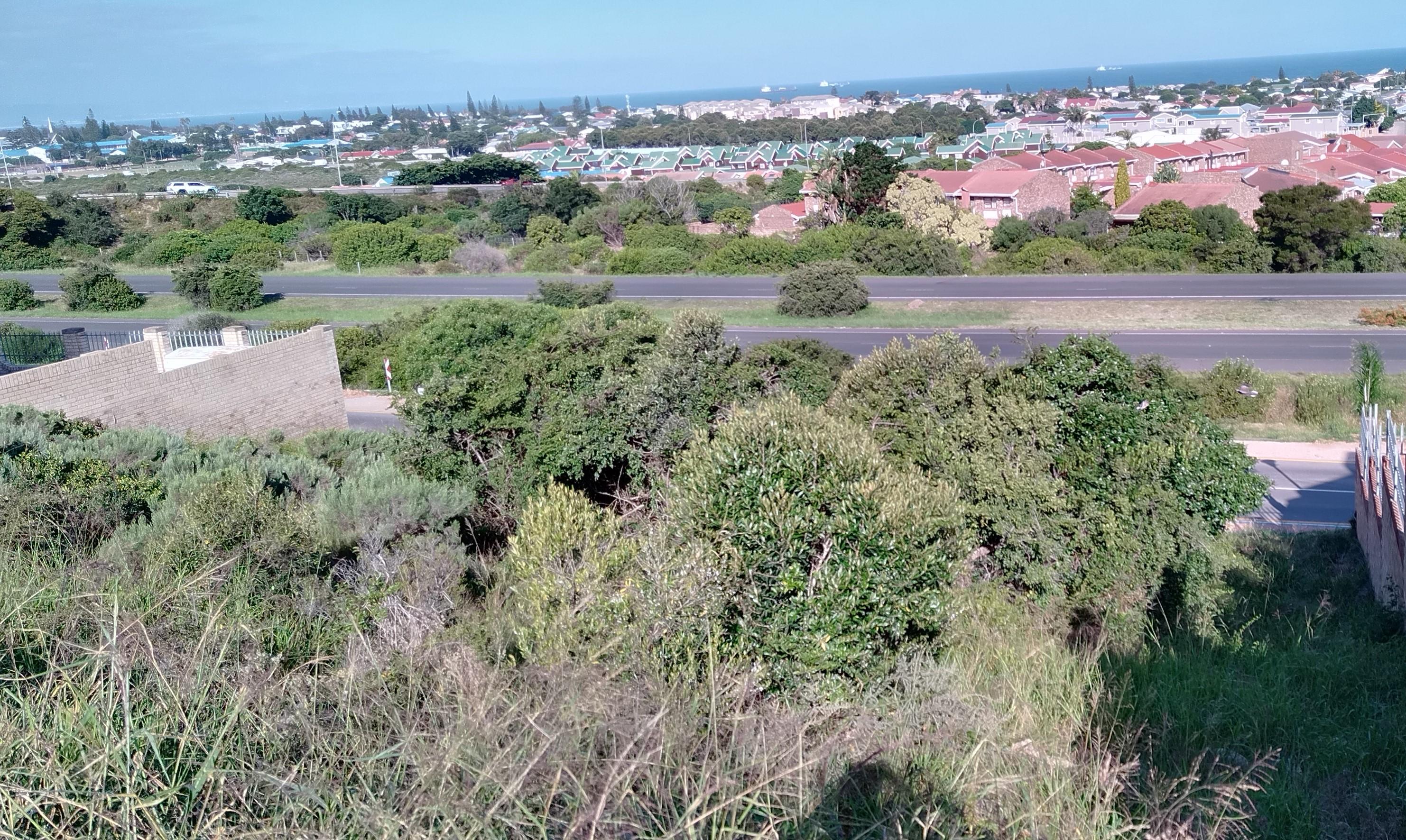 Image 5 of 6