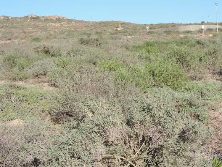 Main property image