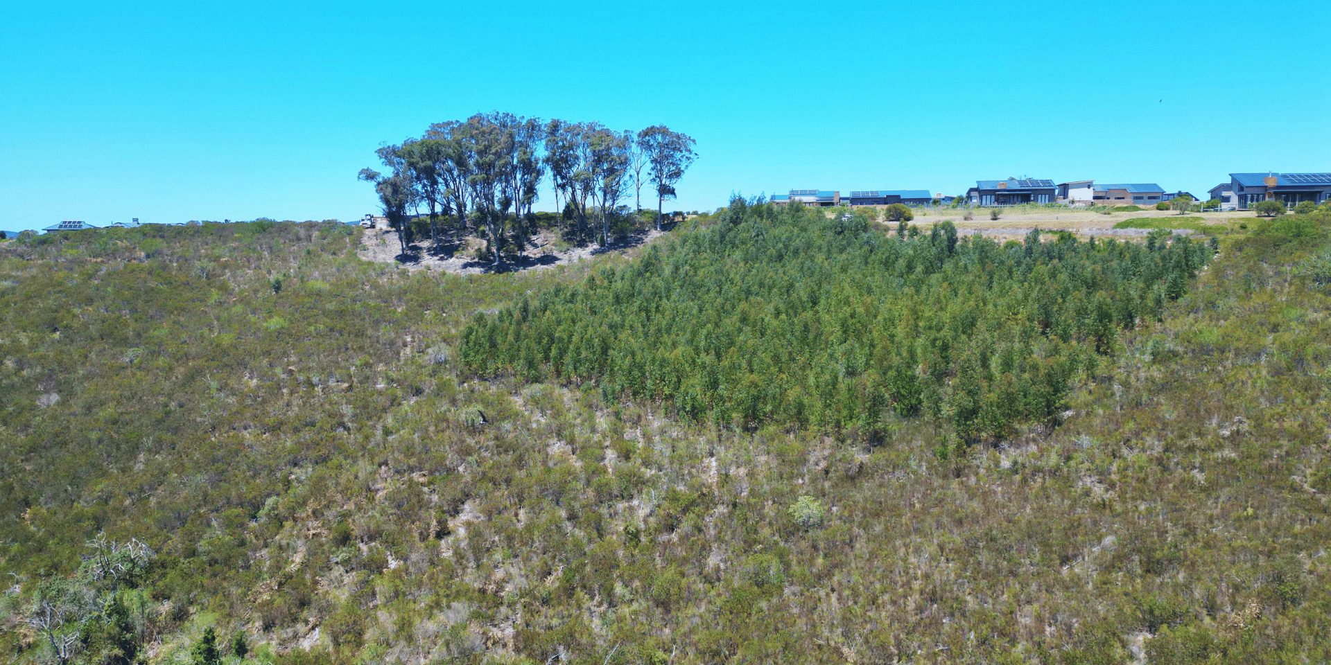 Image 4 of 6