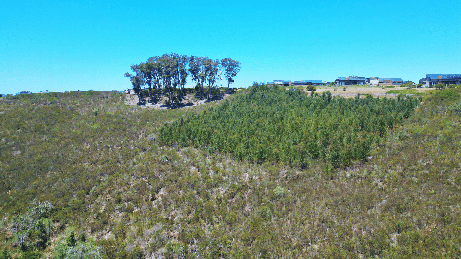 Image 4 of 6