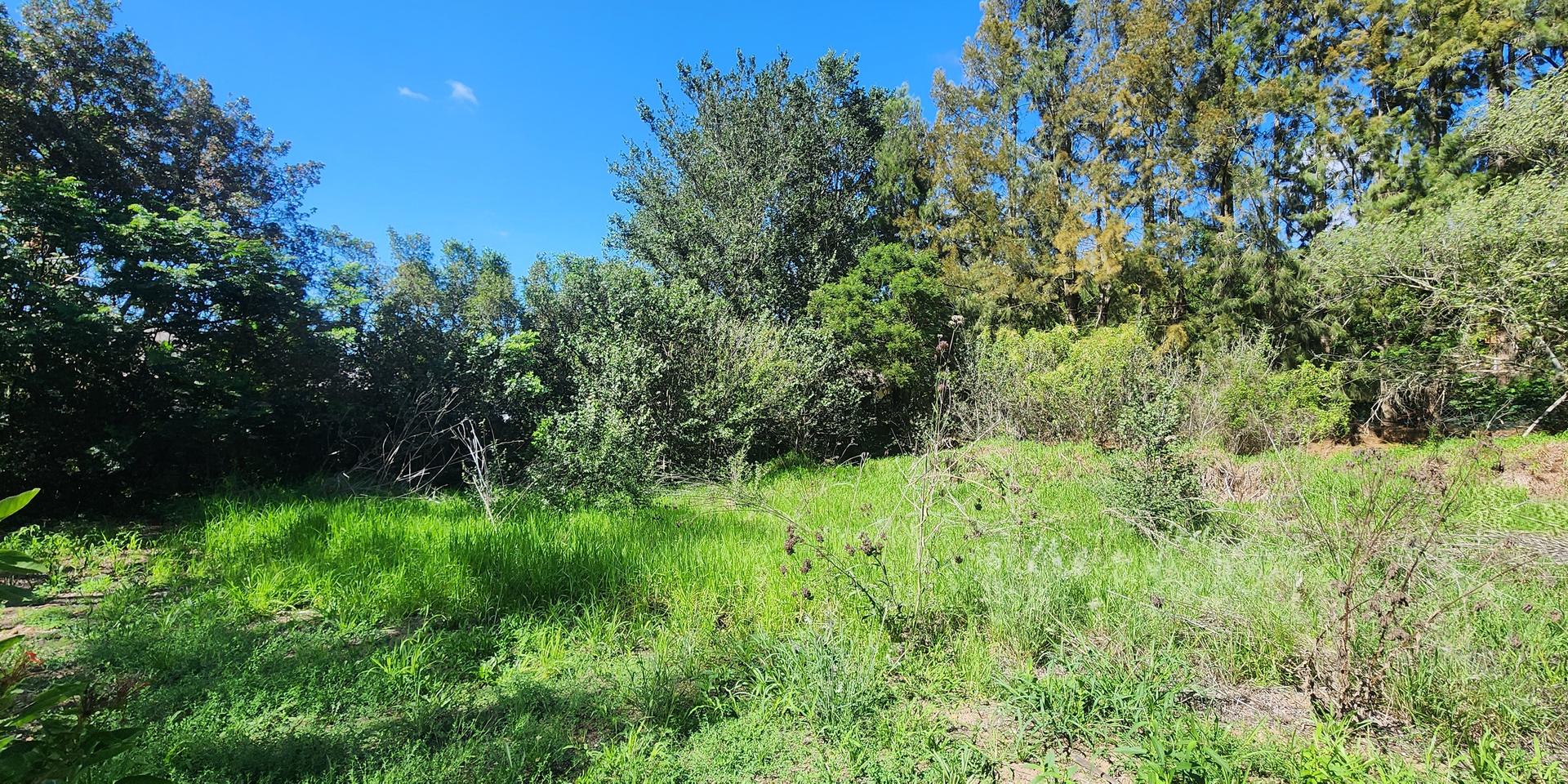 Image 5 of 6