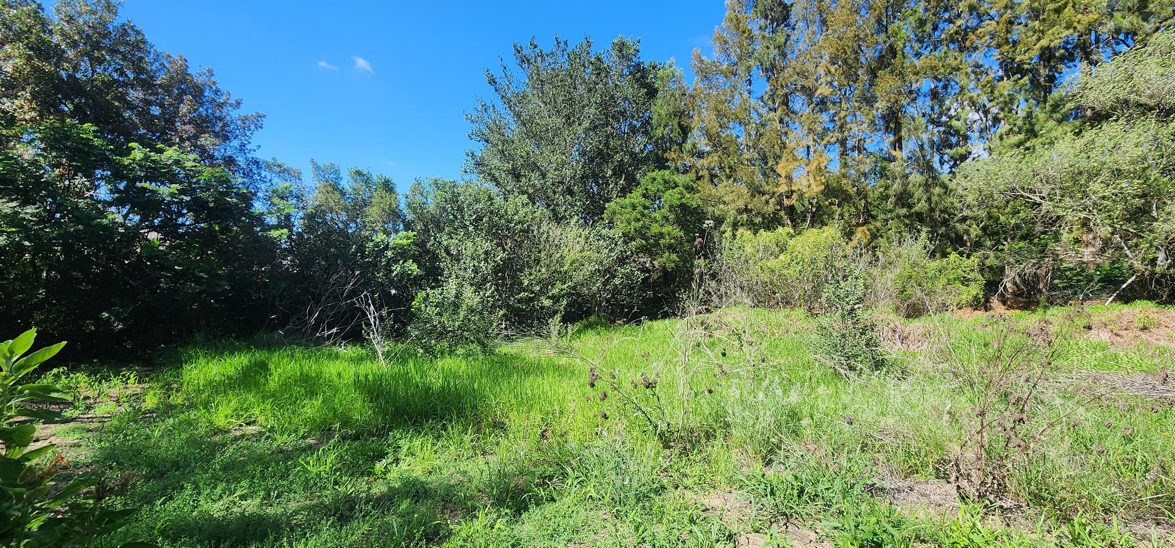 Image 5 of 6