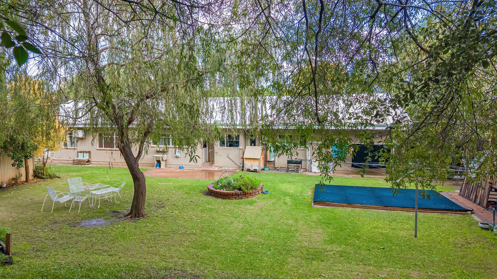 Image 37