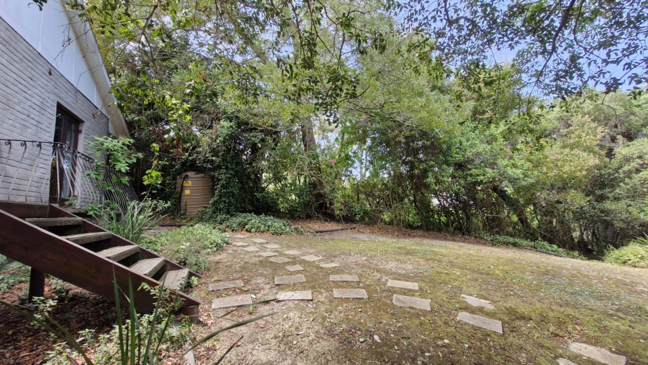 Image 34