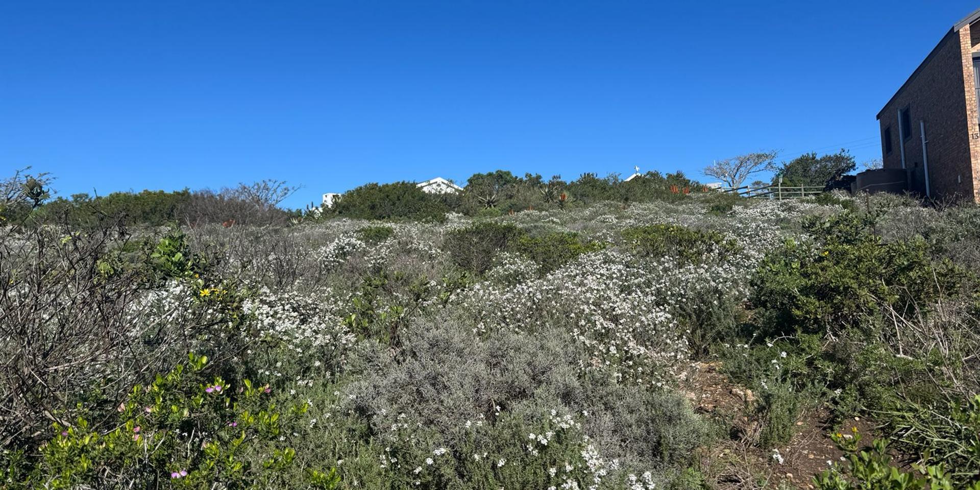 Image 5 of 6