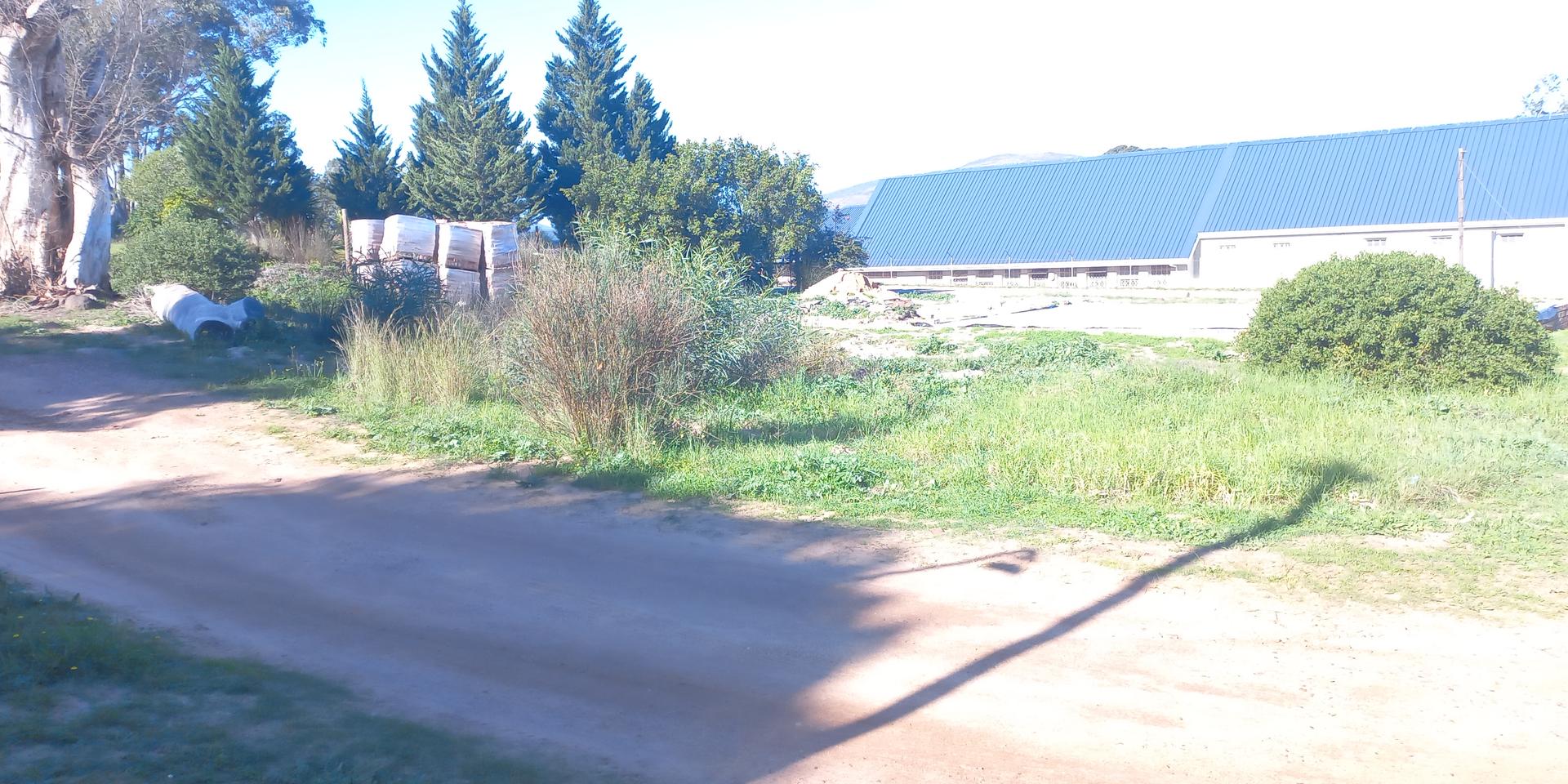 Image 2 of 6