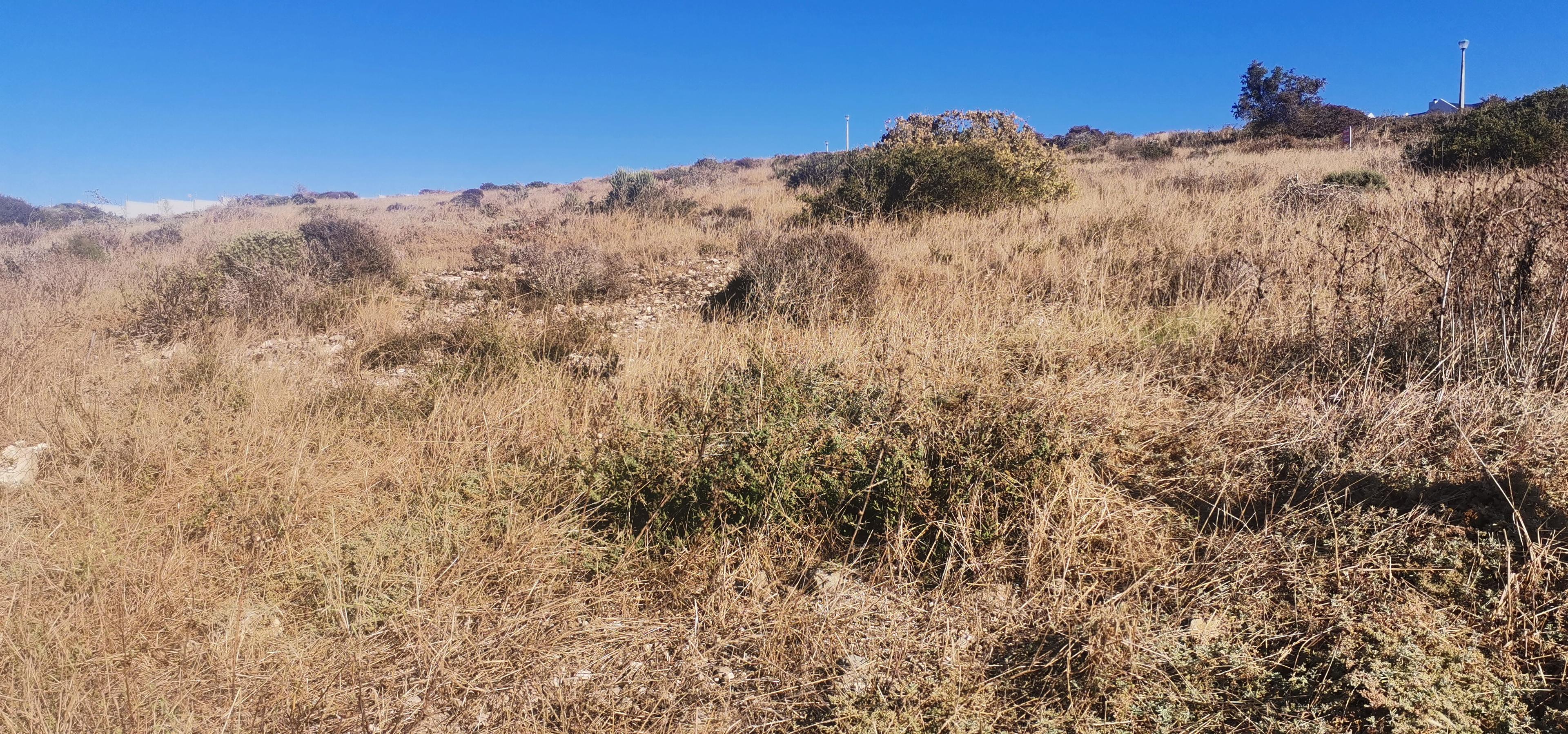 Image 4 of 6