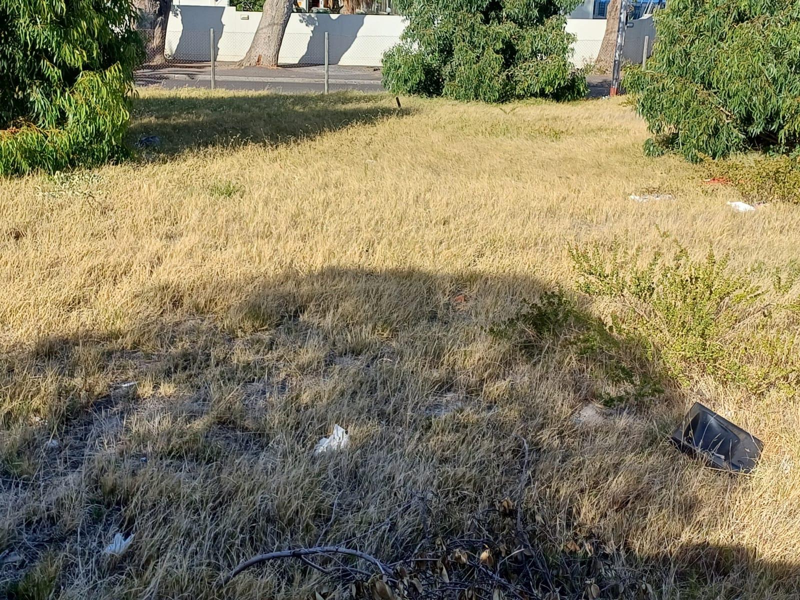 Image 5 of 6