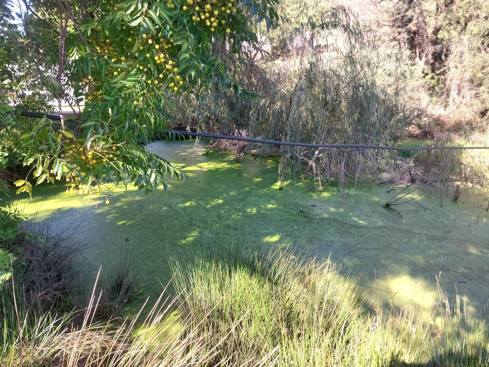 Image 30