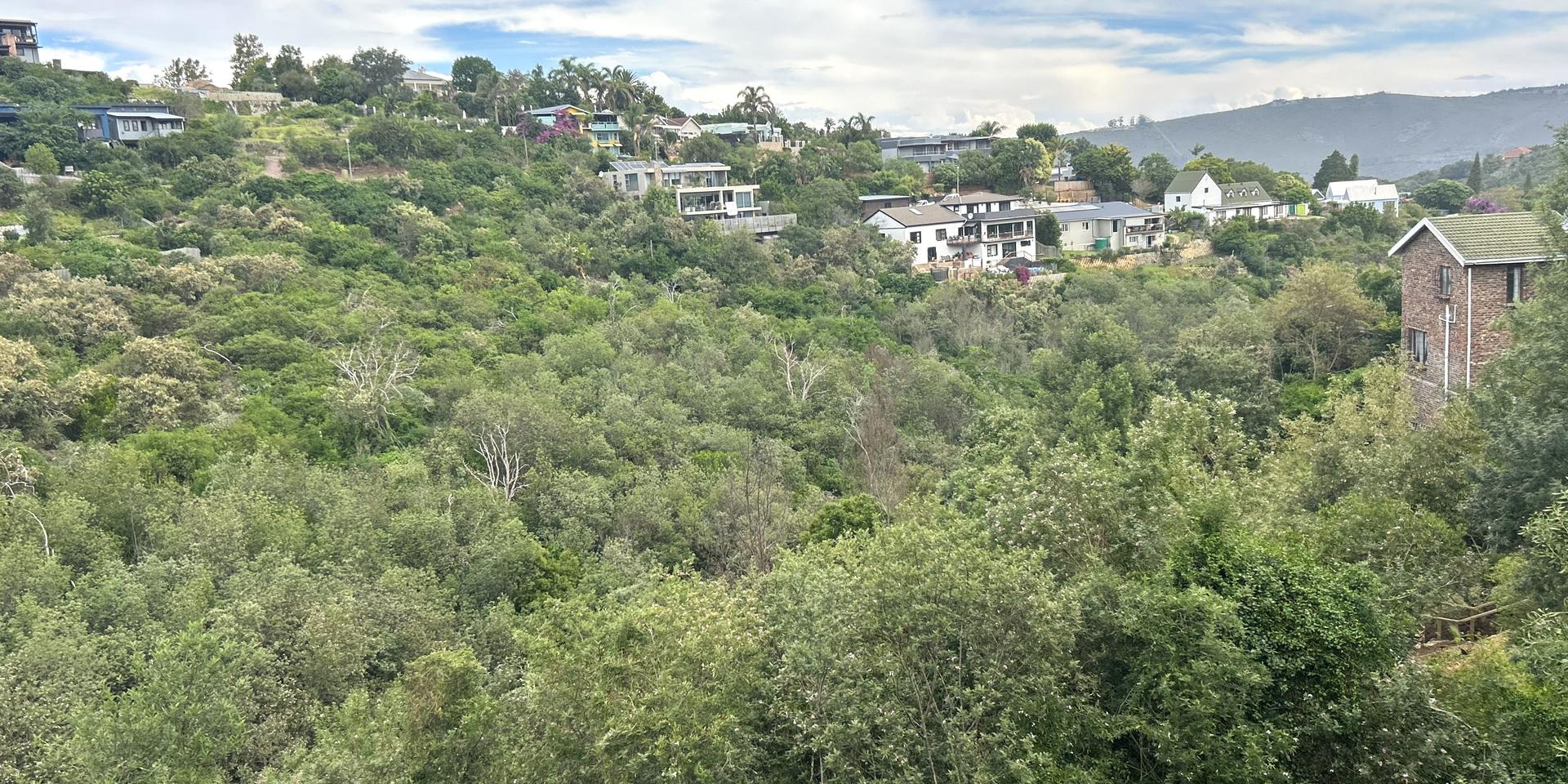 Image 5 of 6