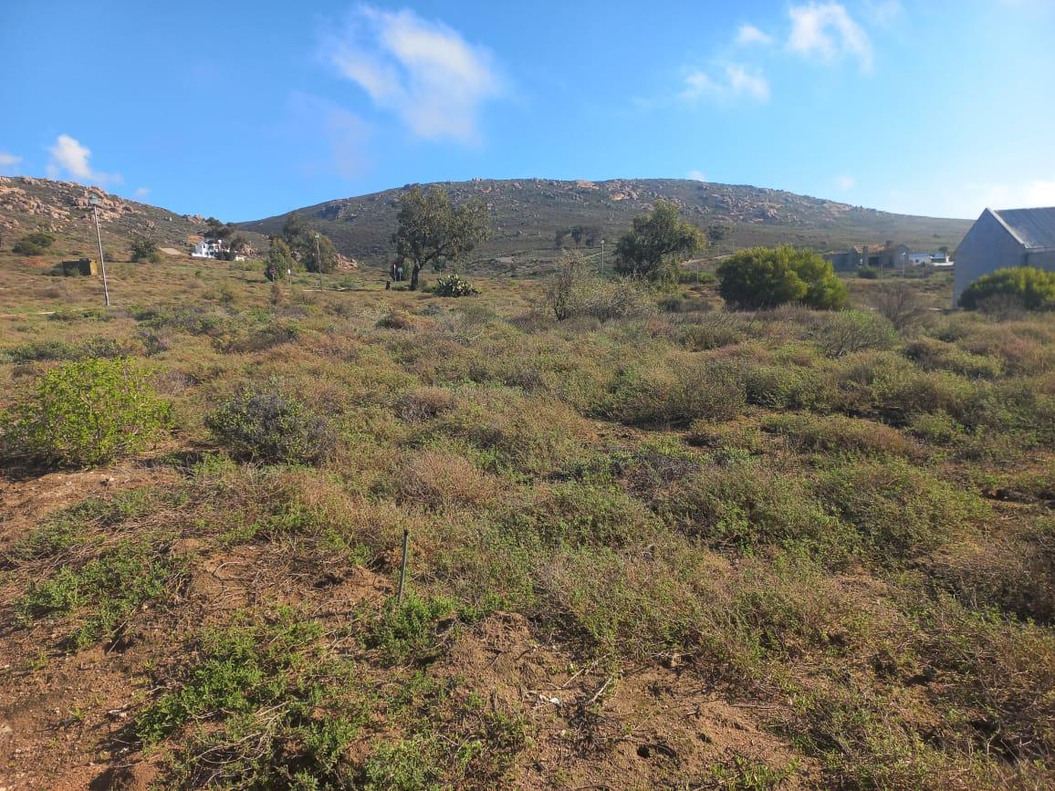 Image 4 of 6