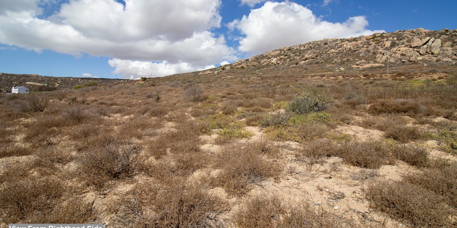 Image 3 of 6