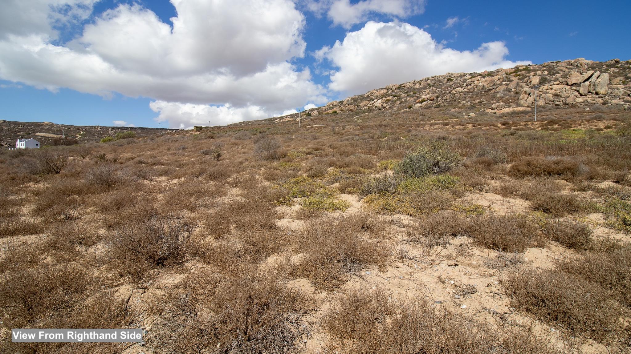 Image 3 of 6