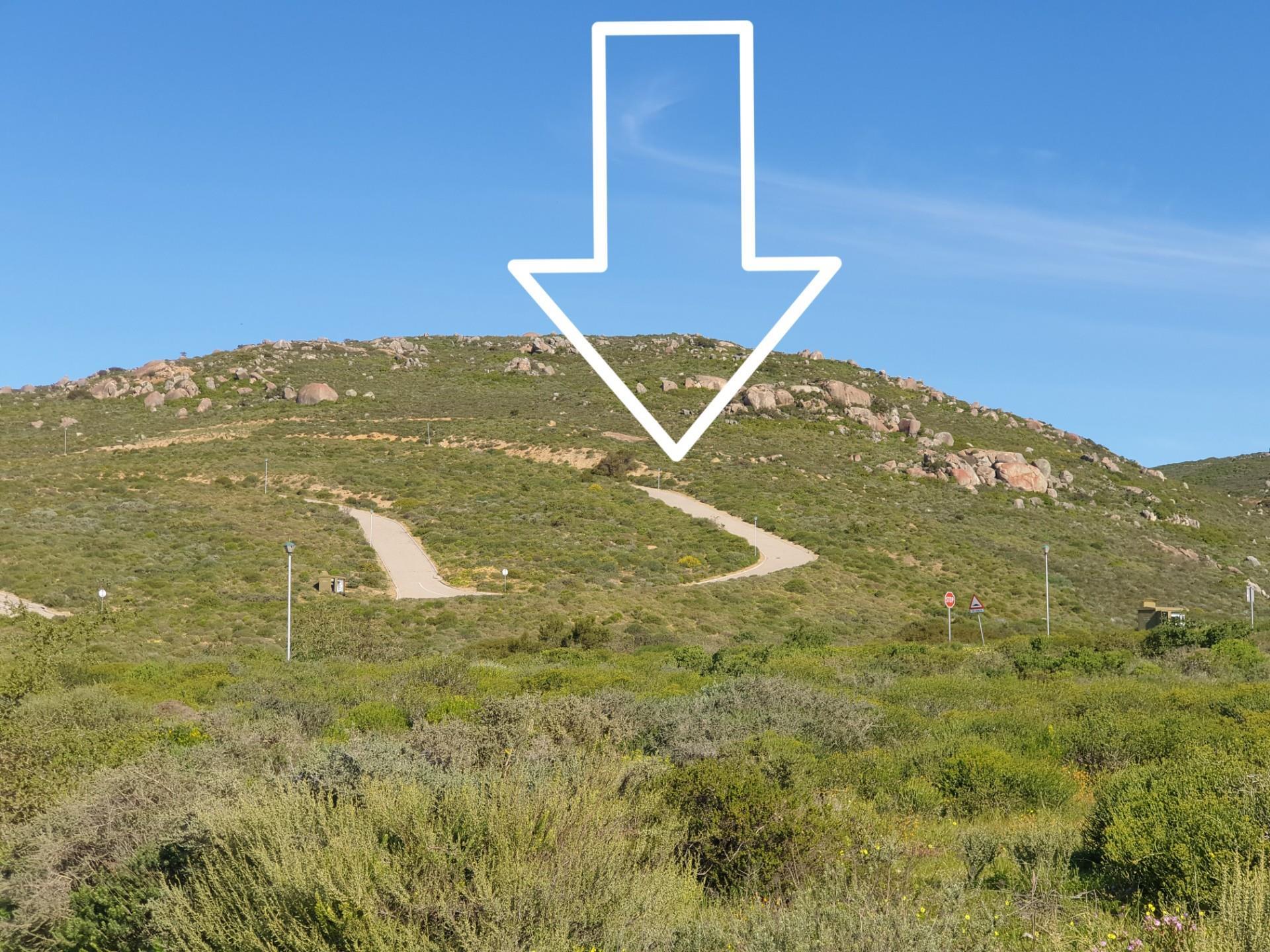 Image 4 of 6