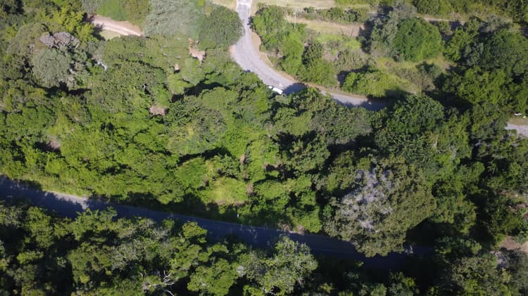 Main property image