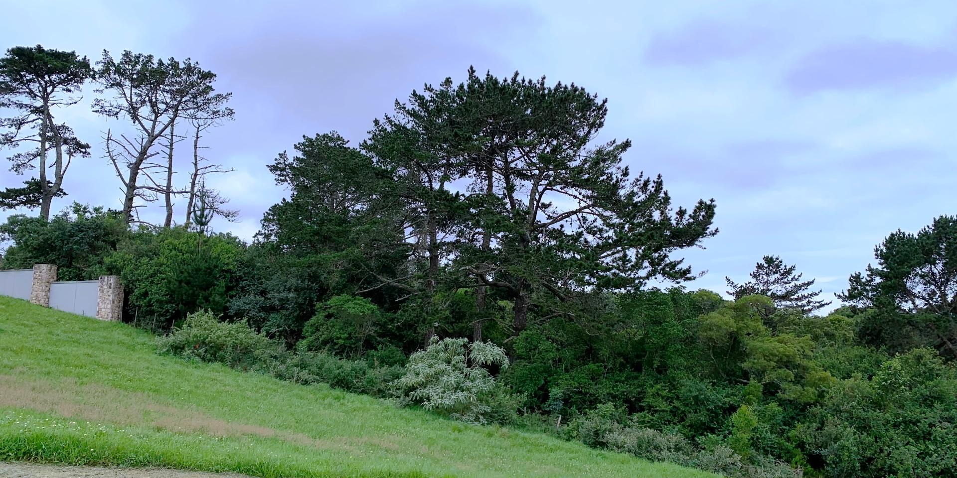 Image 5 of 6