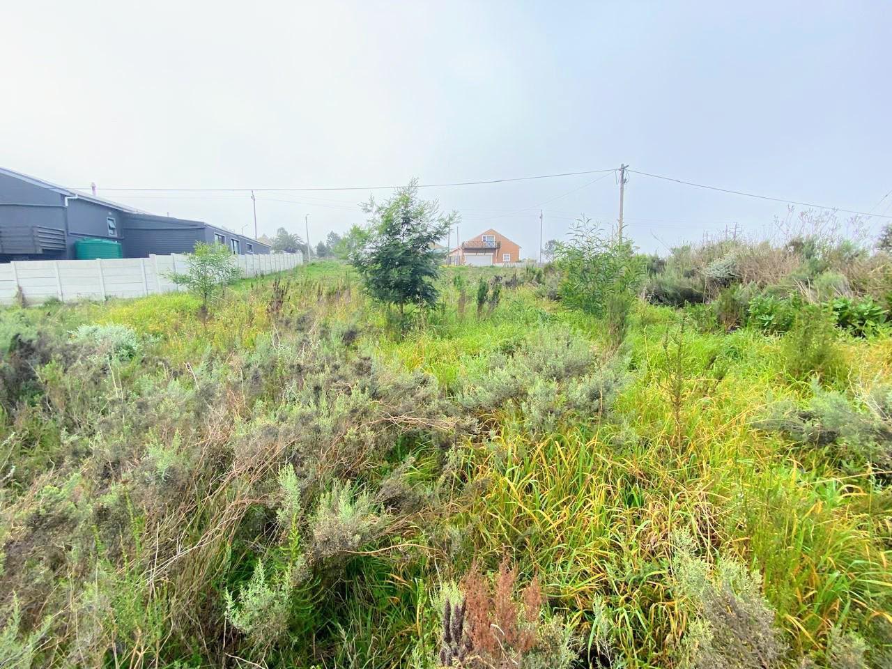 Image 13