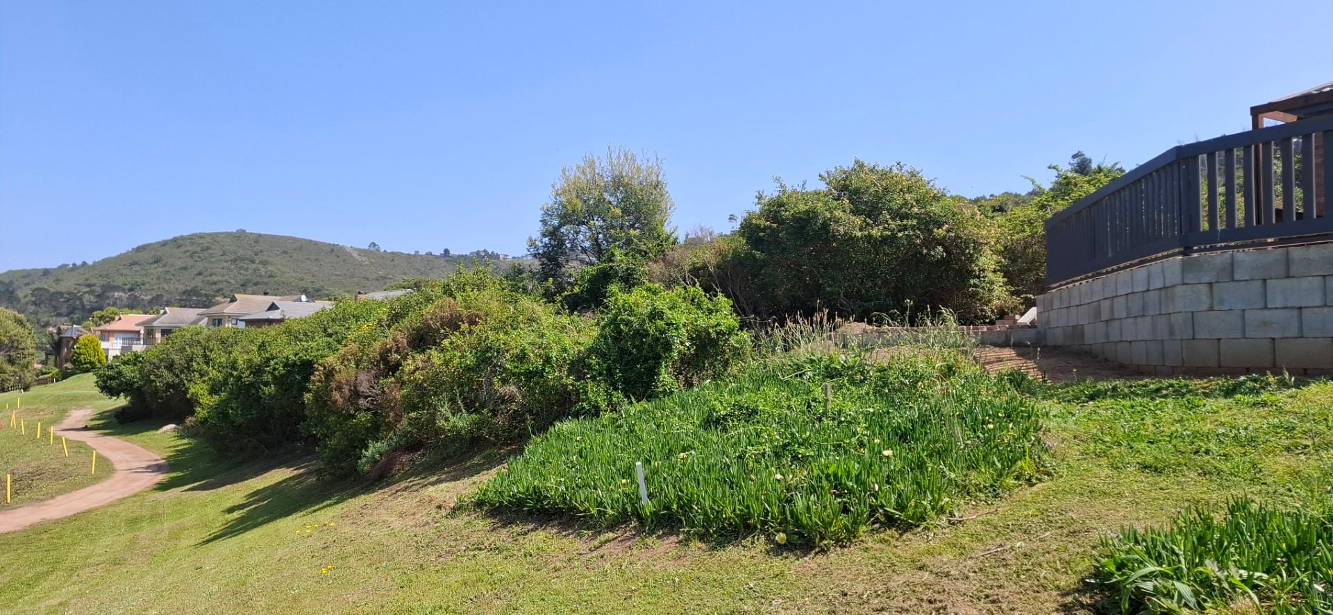 Image 4 of 6