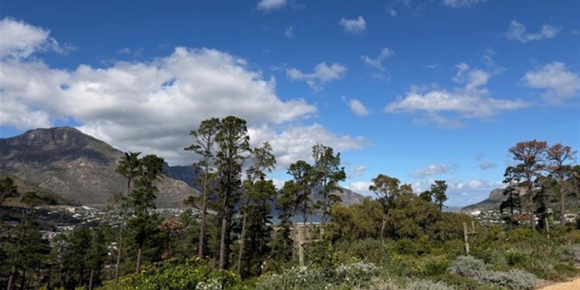 Image 4 of 6