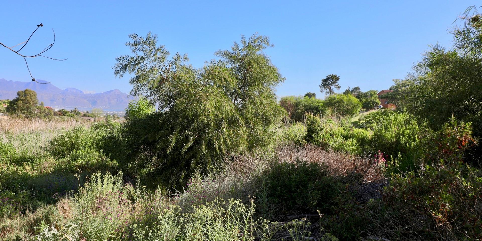 Image 5 of 6