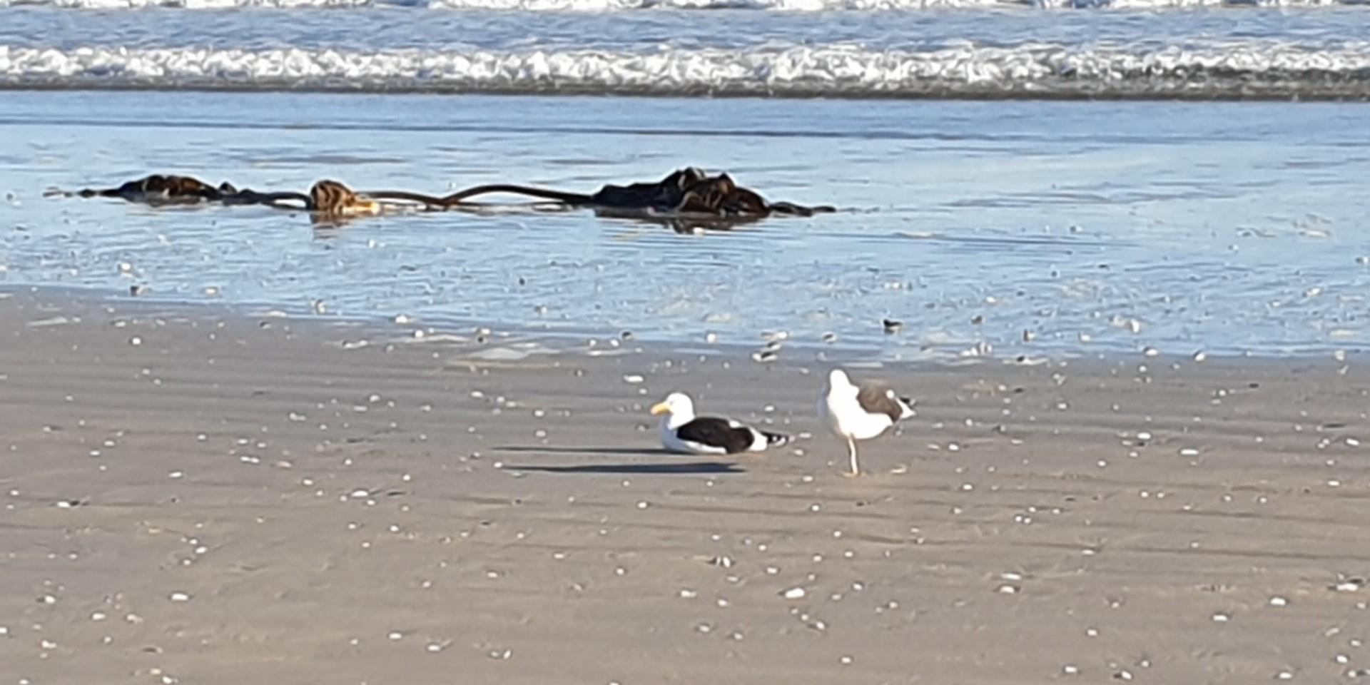 Image 3 of 6