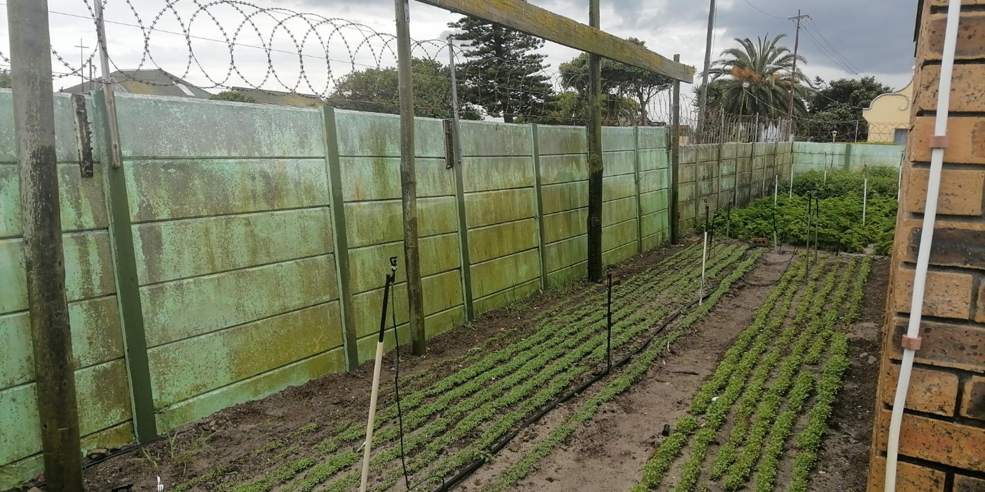 Image 5 of 6