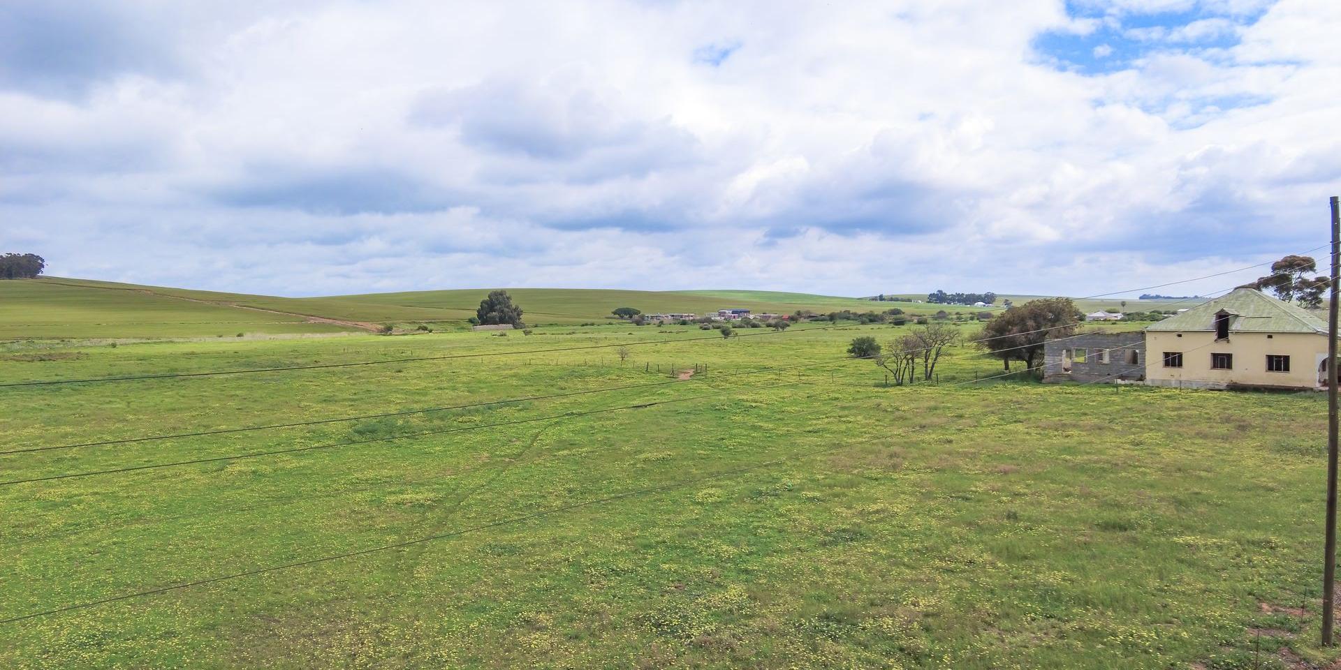Image 2 of 6